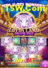 Bônus de Boas-vindas 5Win Bet